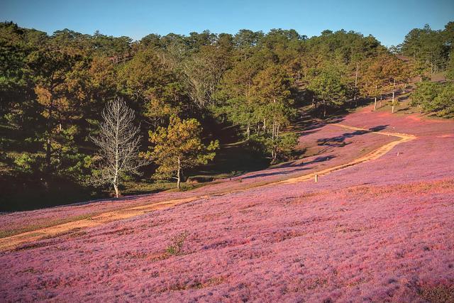 An Binh Homestay Dalat Exteriér fotografie